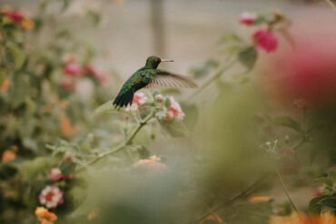 20 amazing business logos with high ROI