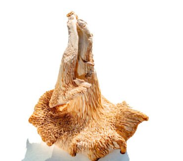 Harmony of luxury and sustainability in design